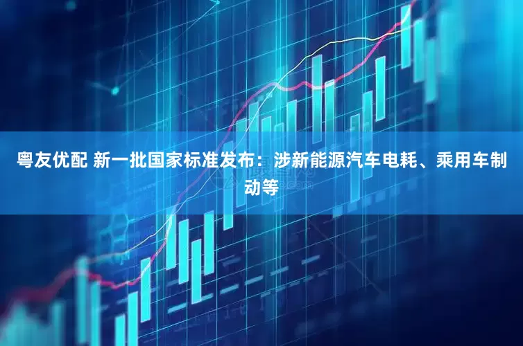粤友优配 新一批国家标准发布：涉新能源汽车电耗、乘用车制动等