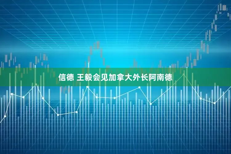 信德 王毅会见加拿大外长阿南德