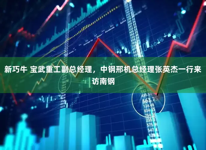 新巧牛 宝武重工副总经理，中钢邢机总经理张英杰一行来访南钢