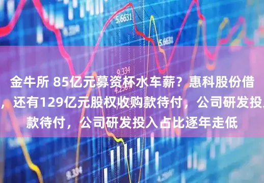 金牛所 85亿元募资杯水车薪？惠科股份借款高达345亿元，还有129亿元股权收购款待付，公司研发投入占比逐年走低